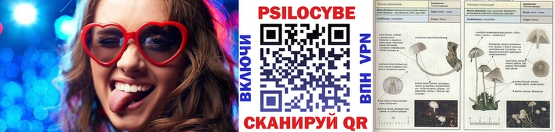 сайты даркнета телеграм  Белинский  Псилоцибиновые грибы Psilocybine cubensis 